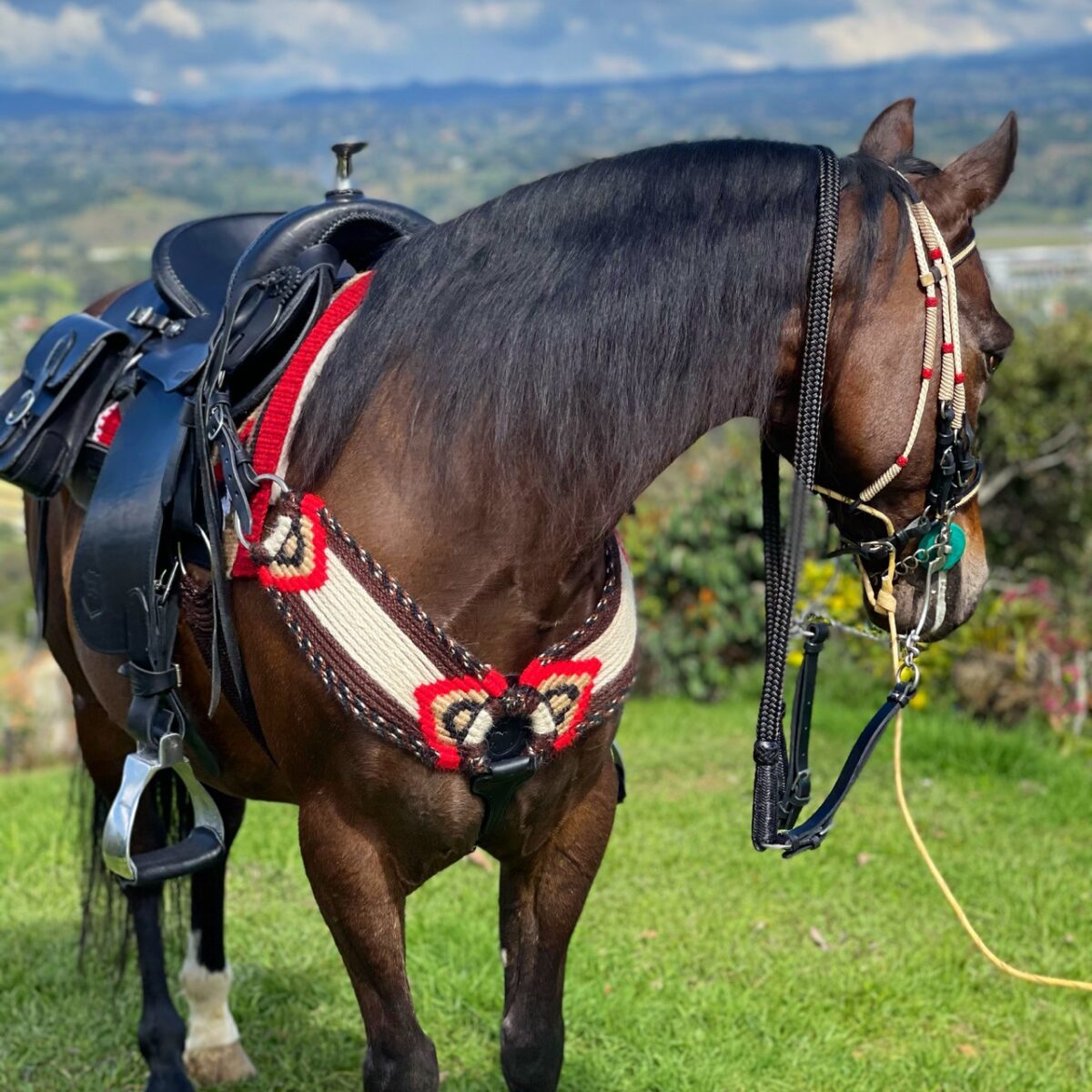 Pechera de Lana Mohair Ancha