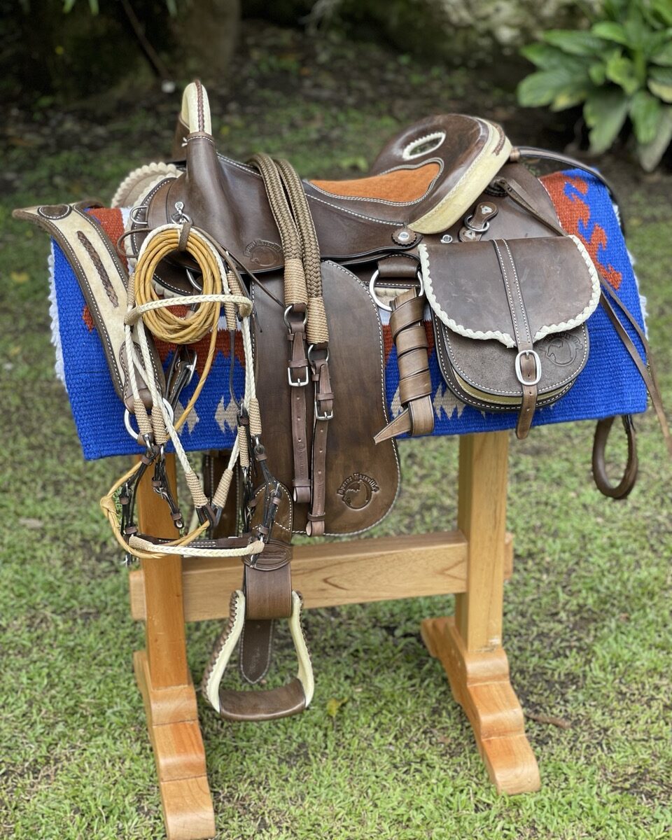 Wilson Edición 2.023