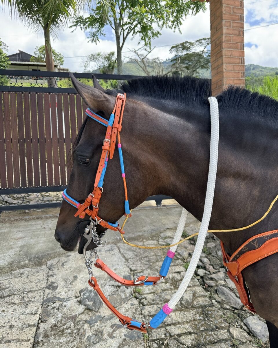 Jaquima Estilo Timbiano