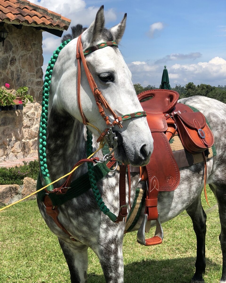 Jaquima Tejido Argentino
