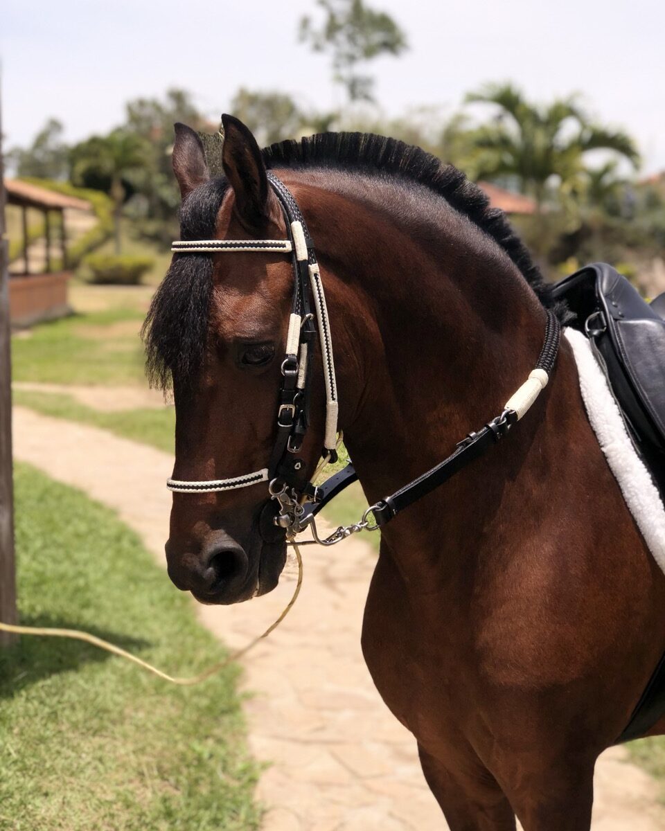 Jaquima Tejido Lomillo