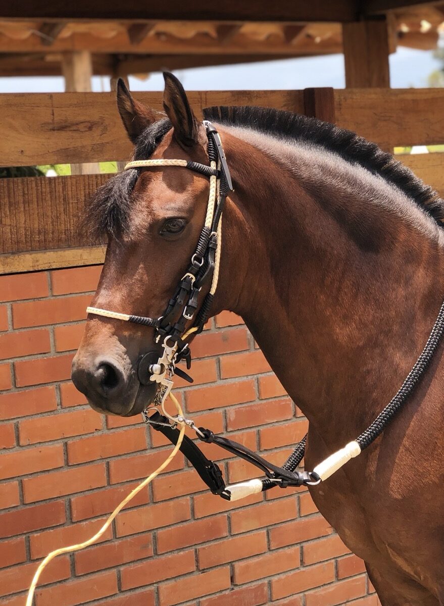 Jaquima Tejido Trineja