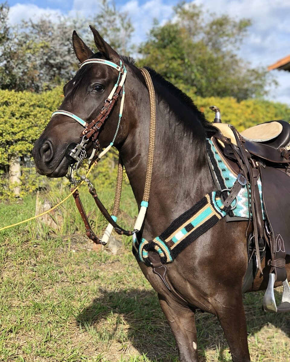 Pecheras en Lana Mohair Ancha