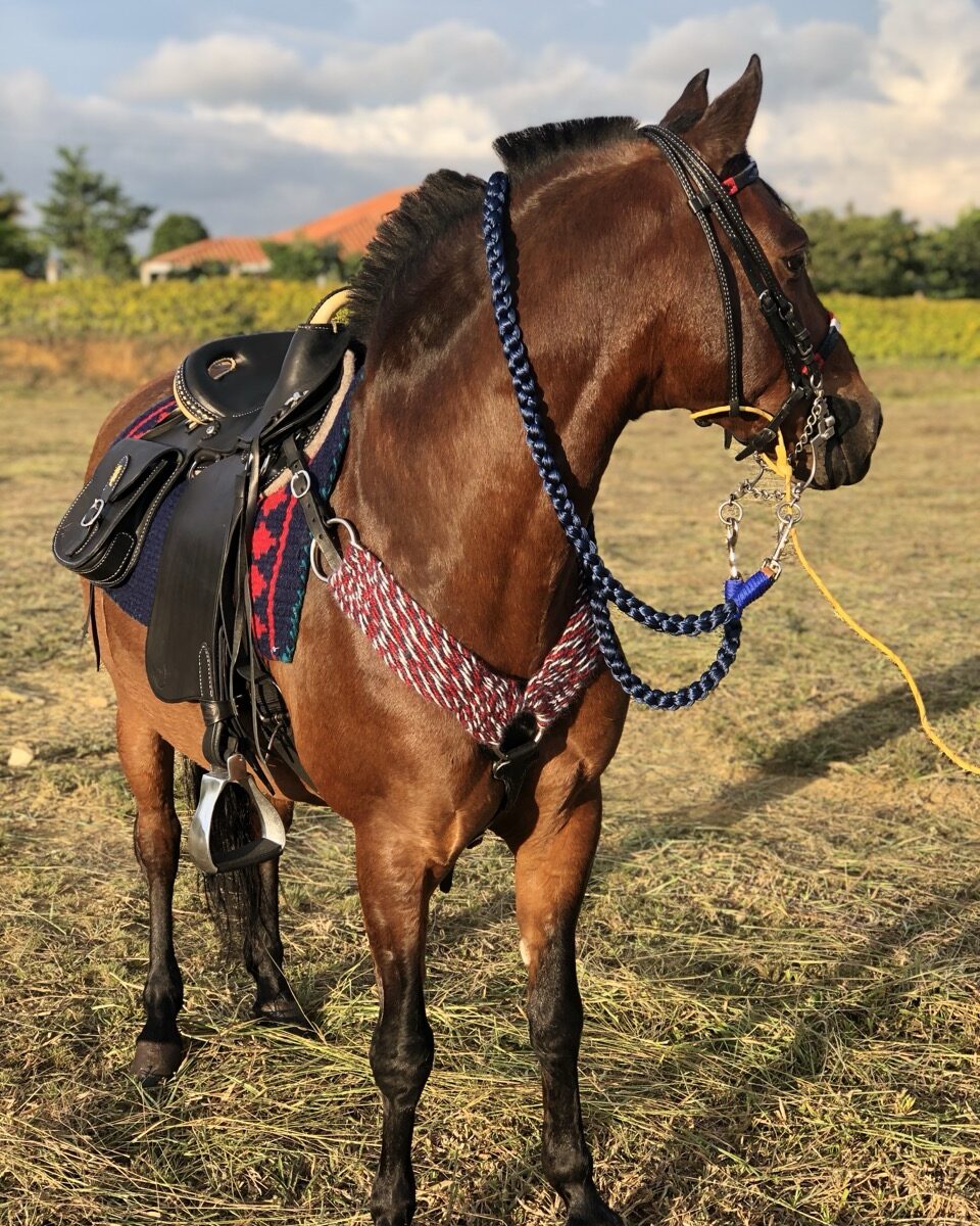 Pechera de Lana Mohair Doble