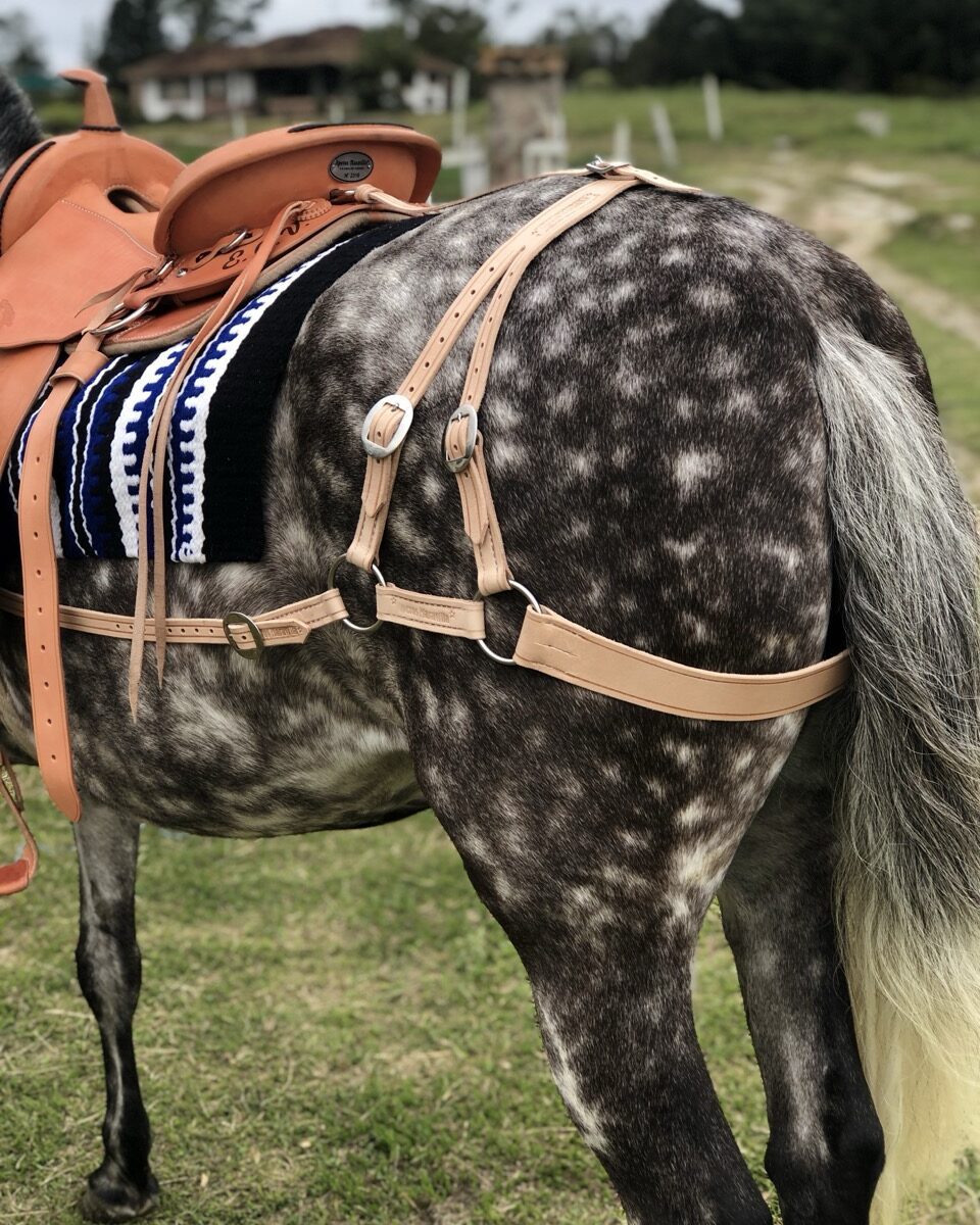 Arretranco de Tijera Tradicional