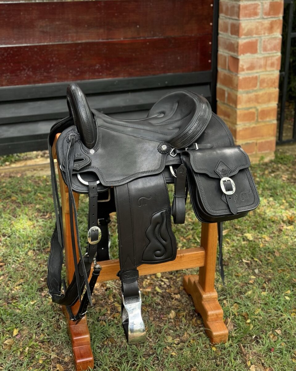 Cardenal en Negro Total