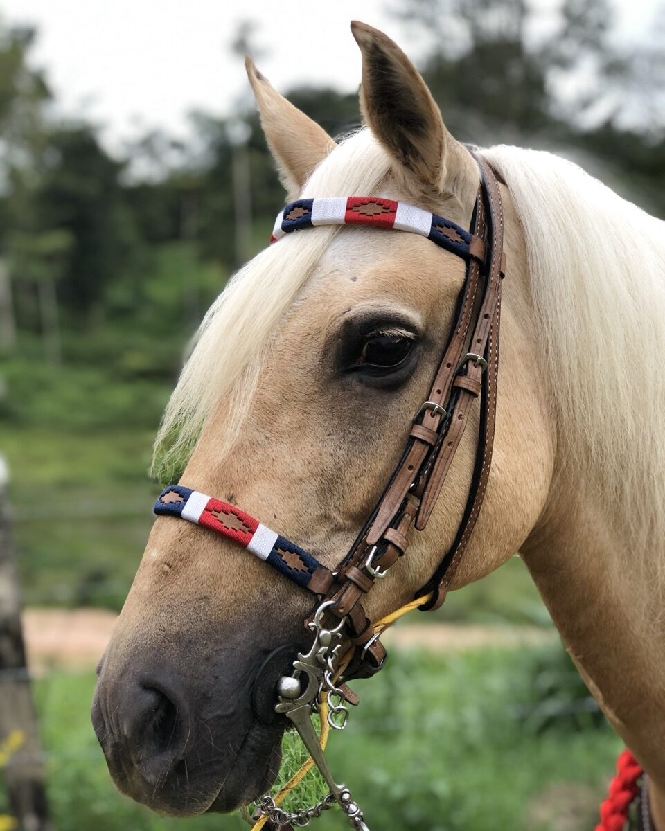 Jaquima Tejido Argentino