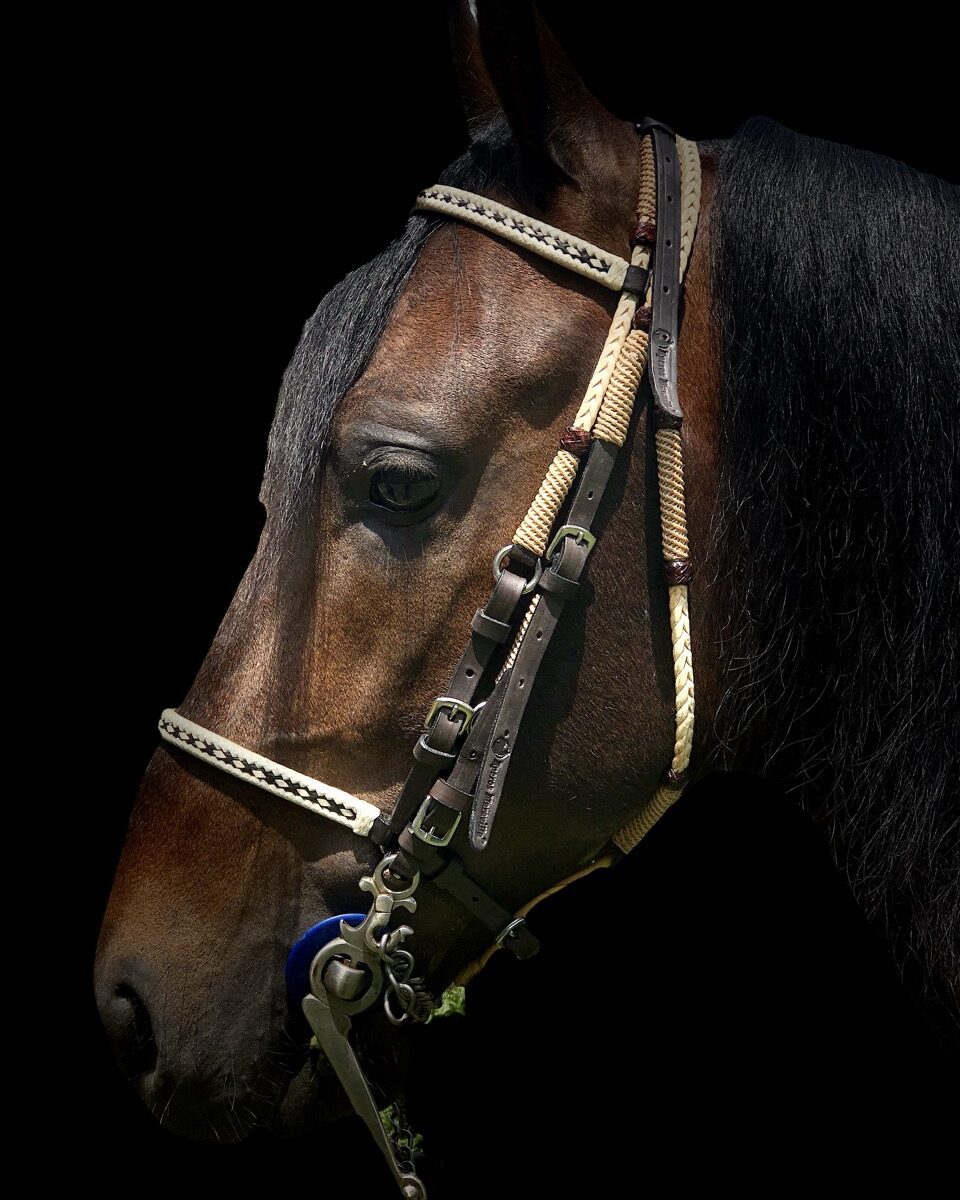 Jaquima Tejido Trineja