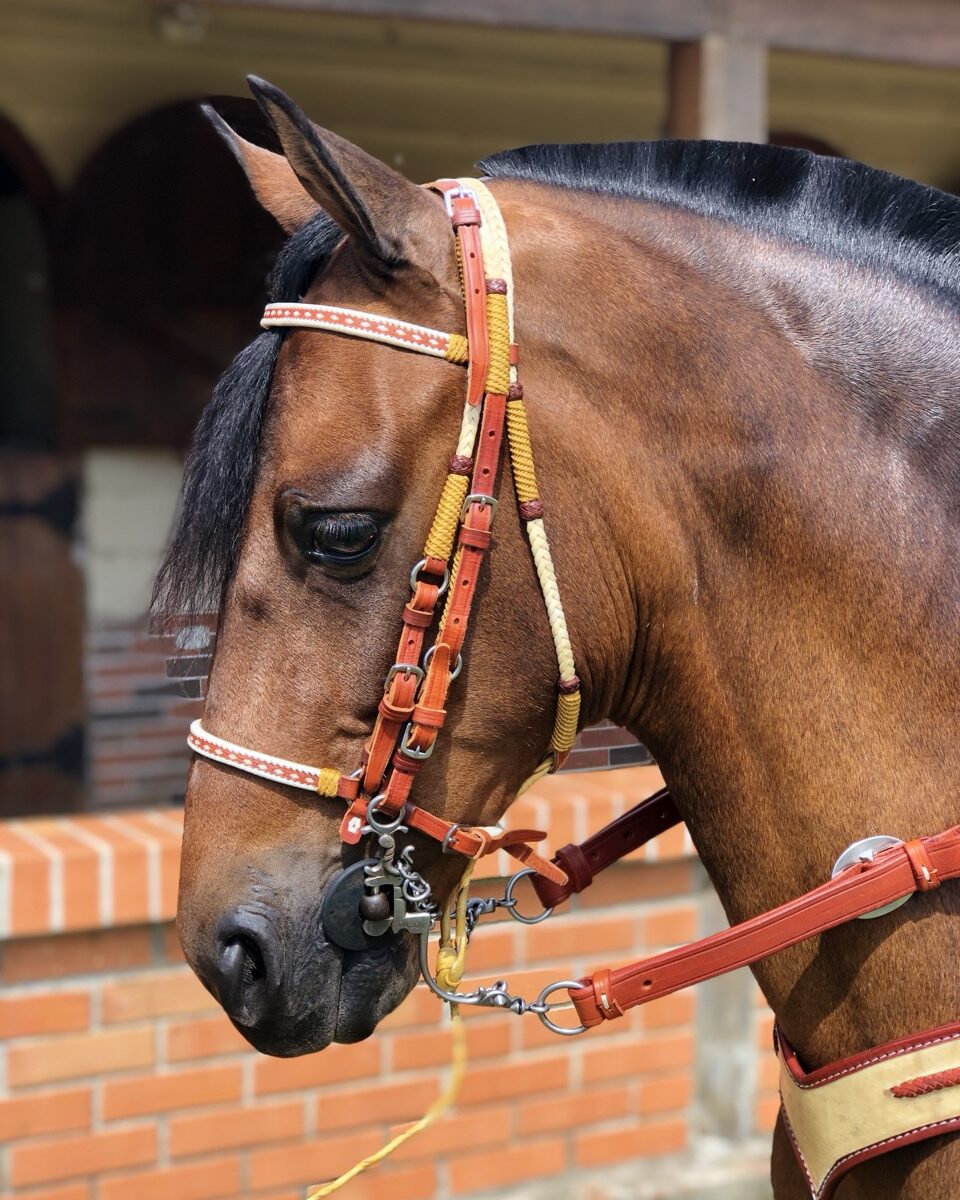 Jaquima Tejido Trineja