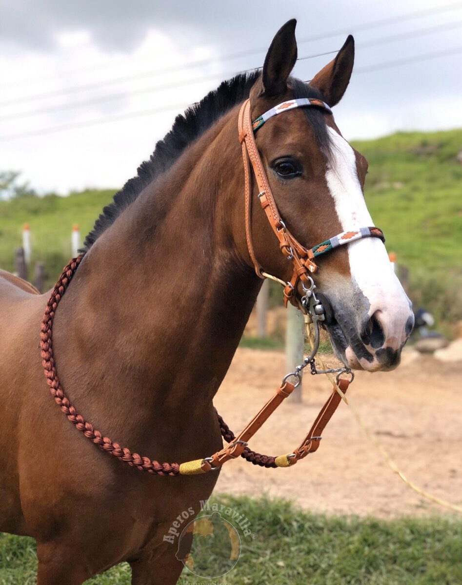 Jaquima Tejido Argentino