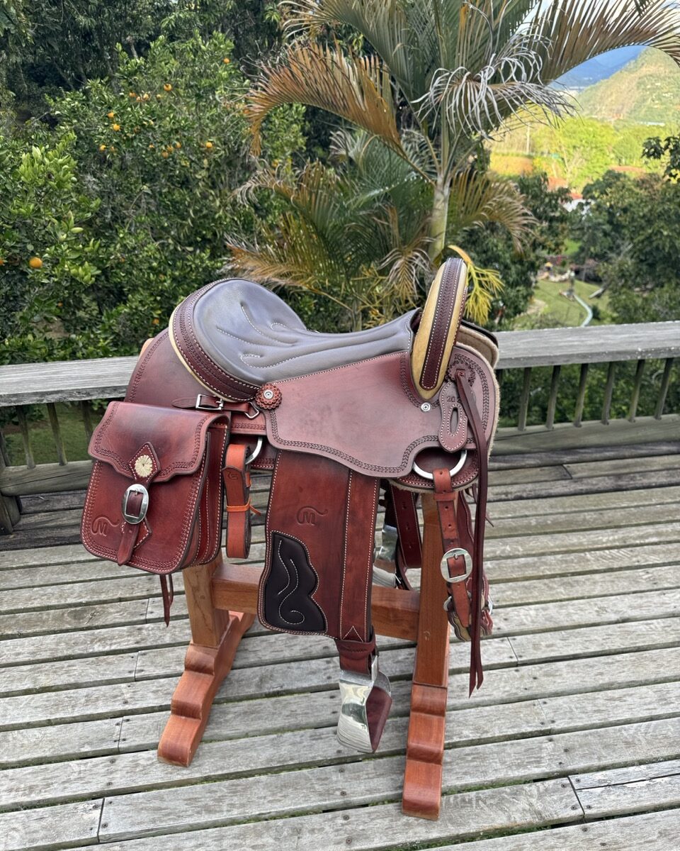 Cardenal Tradicional Miel