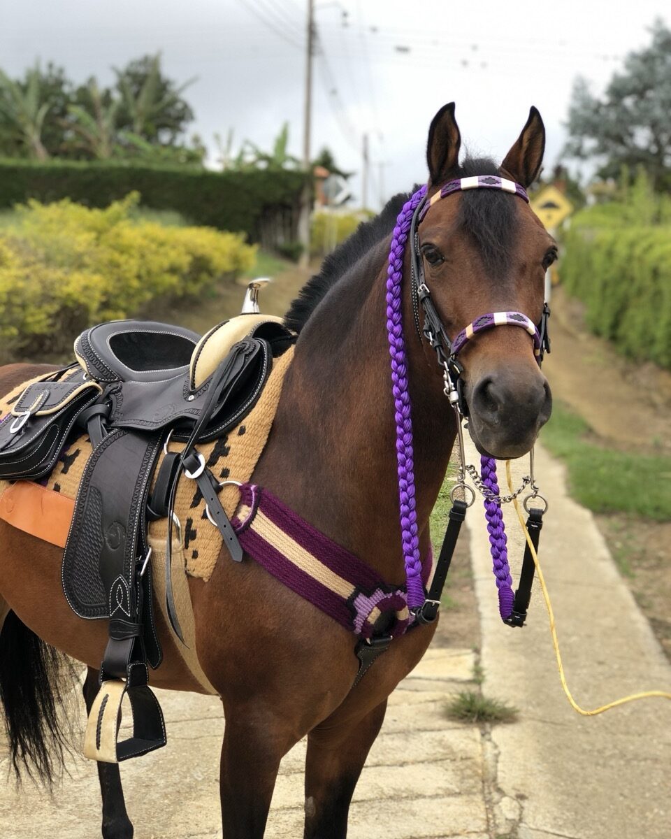 Jaquima Tejido Argentino