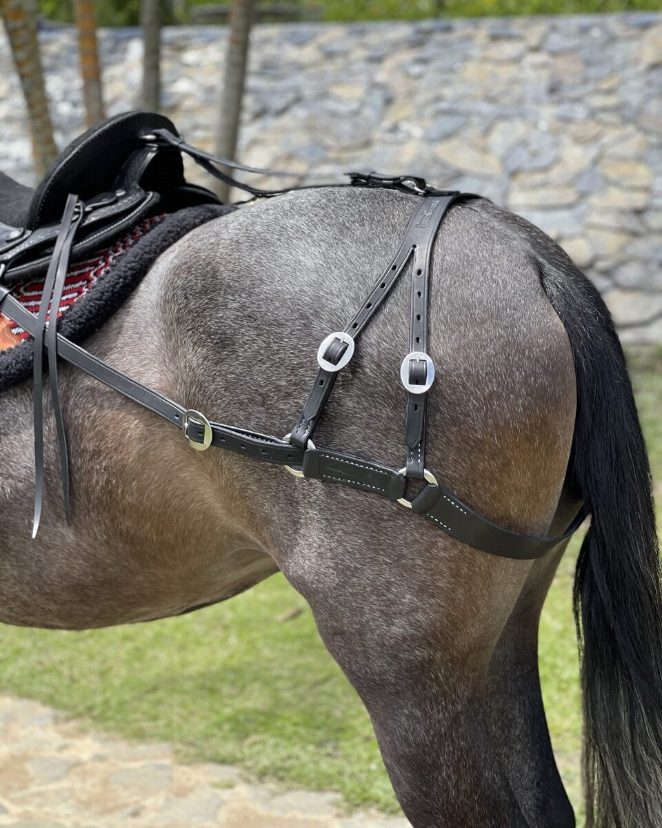 Arretranco de Tijera Tradicional
